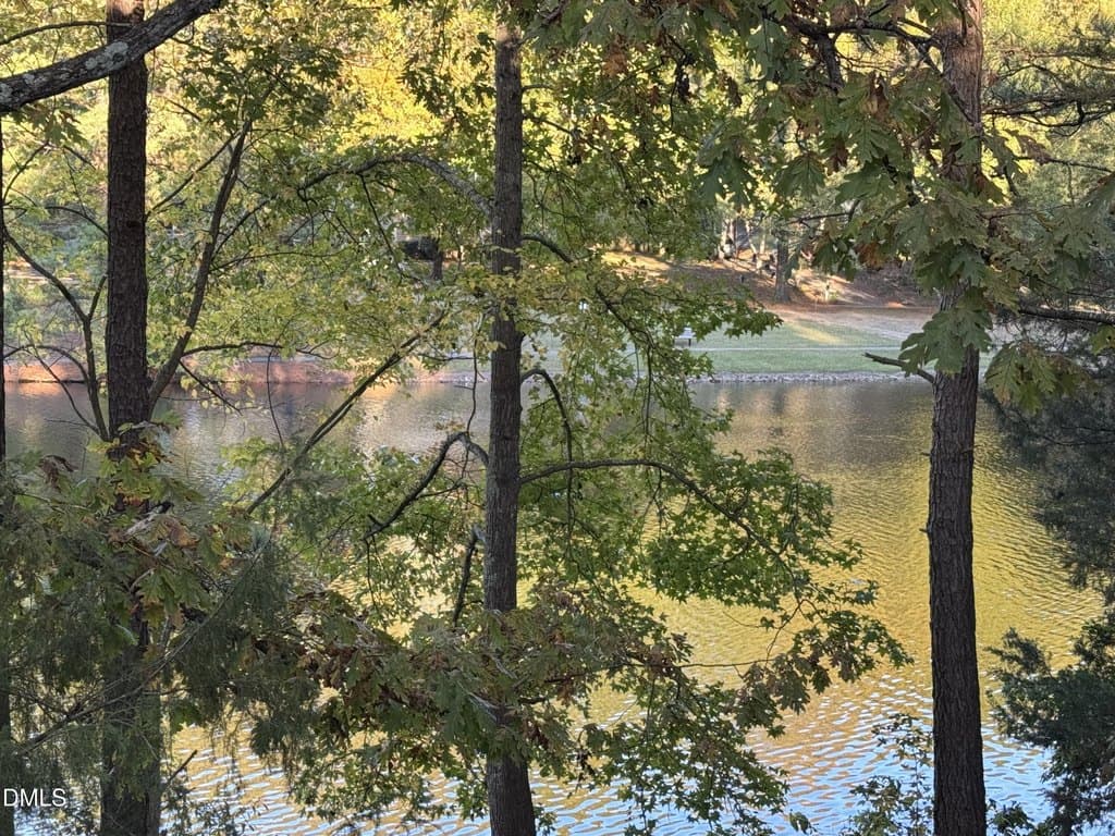 136 Lake Hollow Cir, Cary