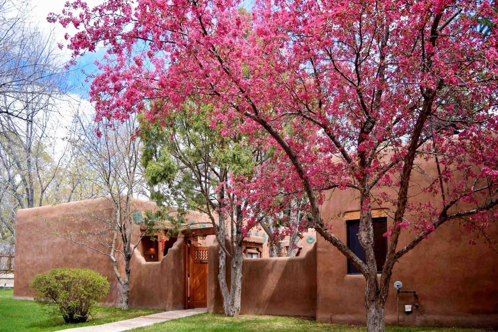 226 Kit Carson Rd Unit COTTONWOOD4, Taos