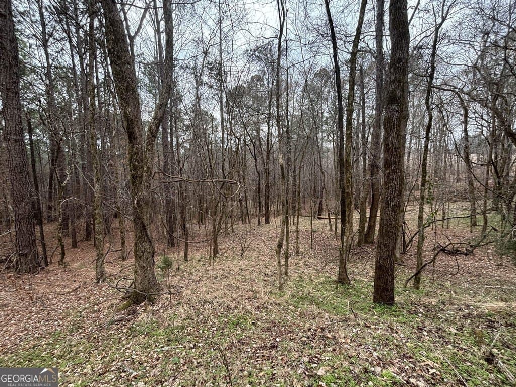 Oconee Rd Lot 3, Buckhead