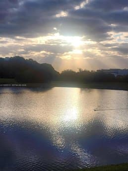 9682 Fontainebleau Blvd Apt 203