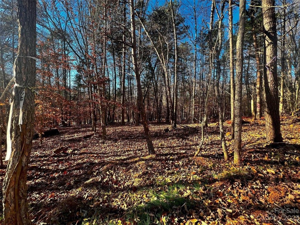 156 Copper Pine Ln Unit 5, Davidson