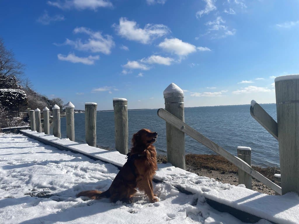 Unknown, Southampton