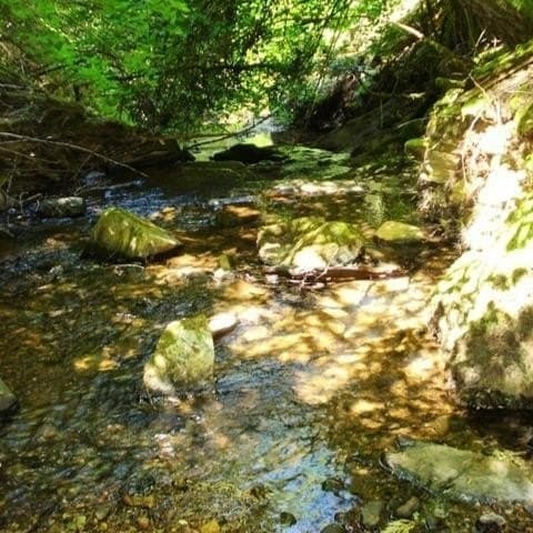 46 Ringtail Rd