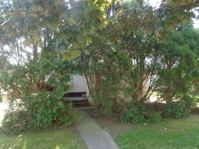 3607 W 139th St, Cleveland