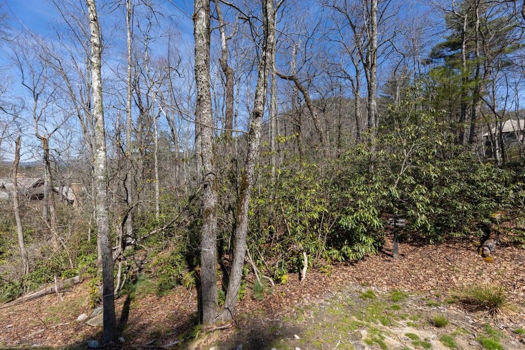 54 Ramble Ridge Rd Lot 54, Cashiers