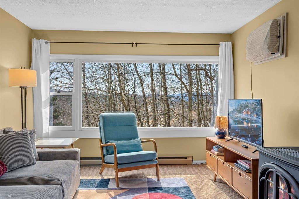 220 Mountainside Dr Unit E301, Stowe