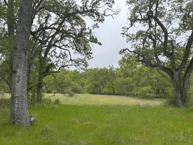 Lambert Flat Rd, Carmel Valley