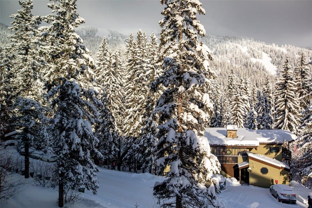 3820 Tamarack Ave Unit 200, Whitefish