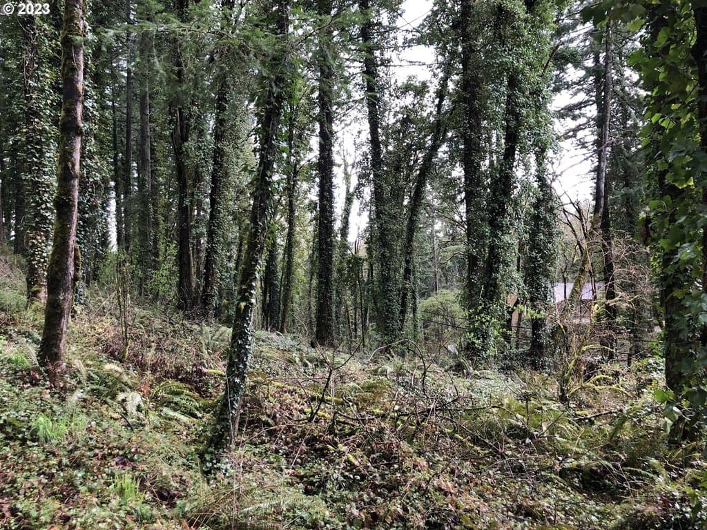 19088 Barton Rd, Lake Oswego