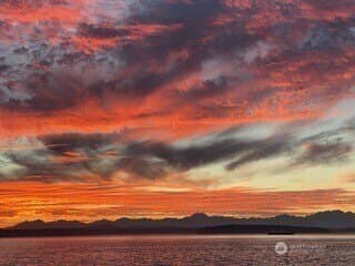 10203 47th Ave SW Apt C8