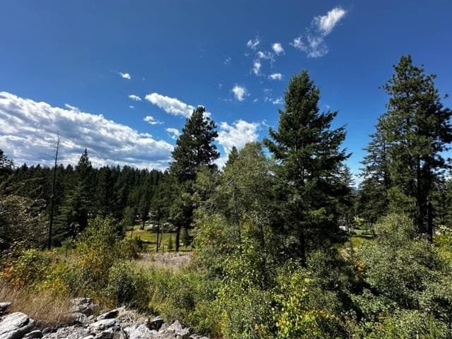 56 Bridle Ct, Bigfork