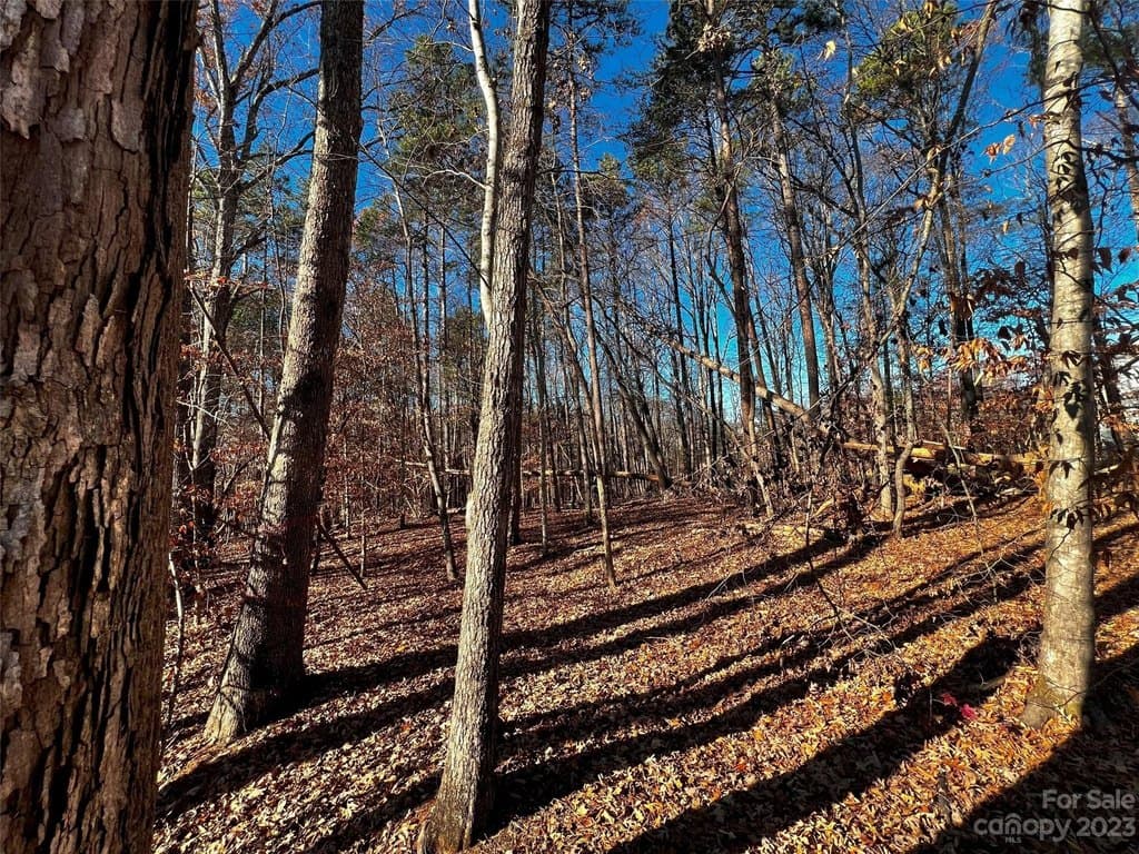 138 Copper Pine Ln Unit 2, Davidson