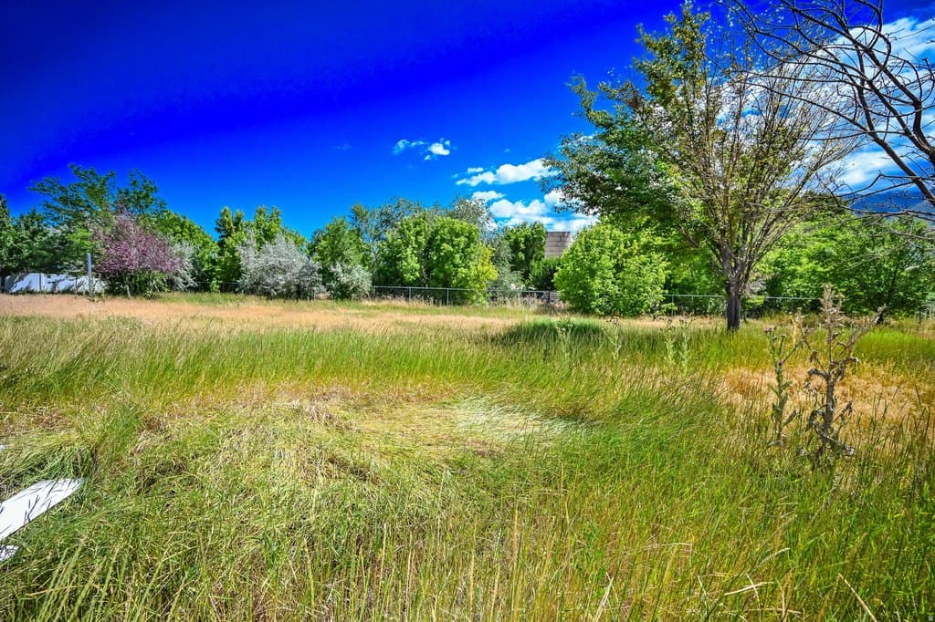 847 E Willow Springs Ln S, Draper