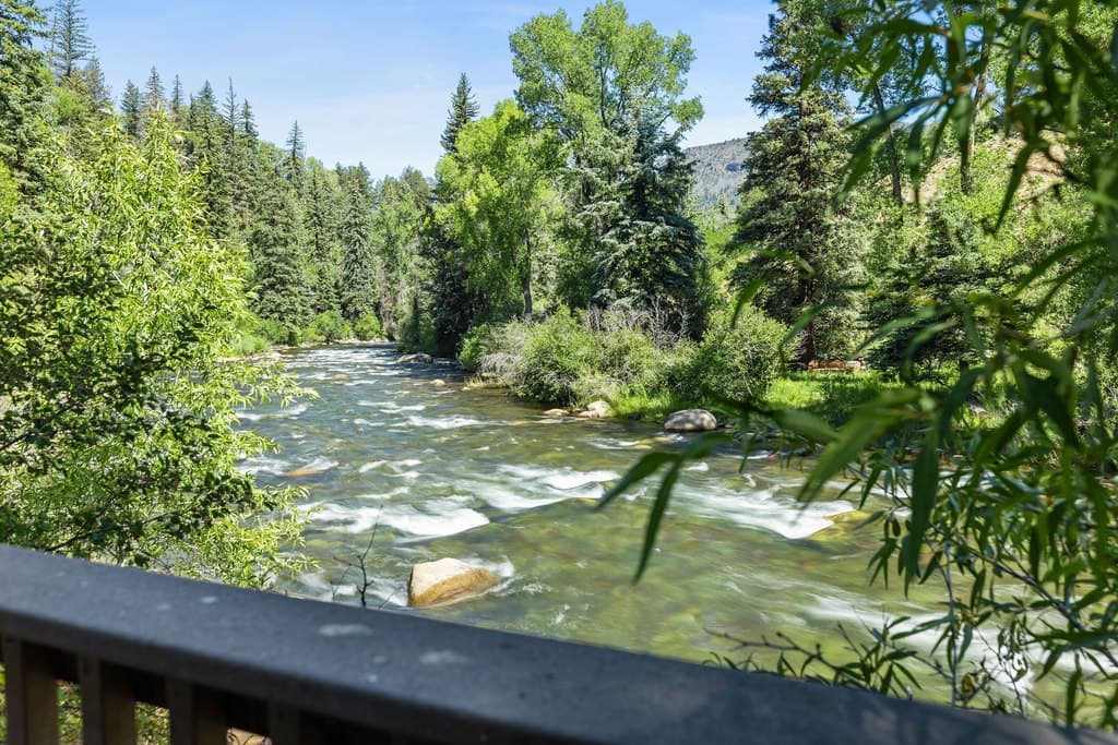 820 Twining Flats Rd, Aspen