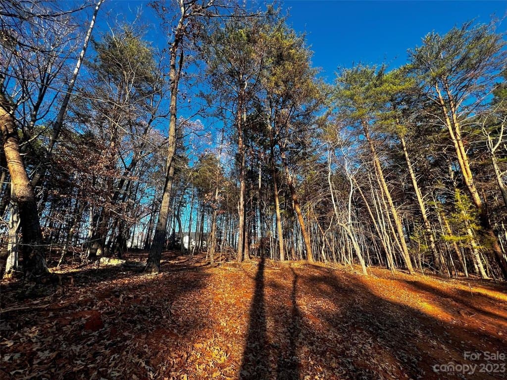 127 Hunt Camp Trl Unit 16, Davidson