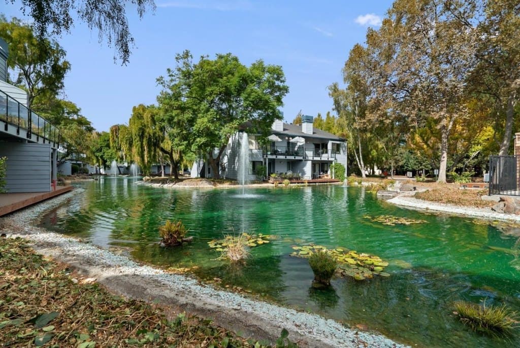 905 W Middlefield Rd Apt 982, Mountain View