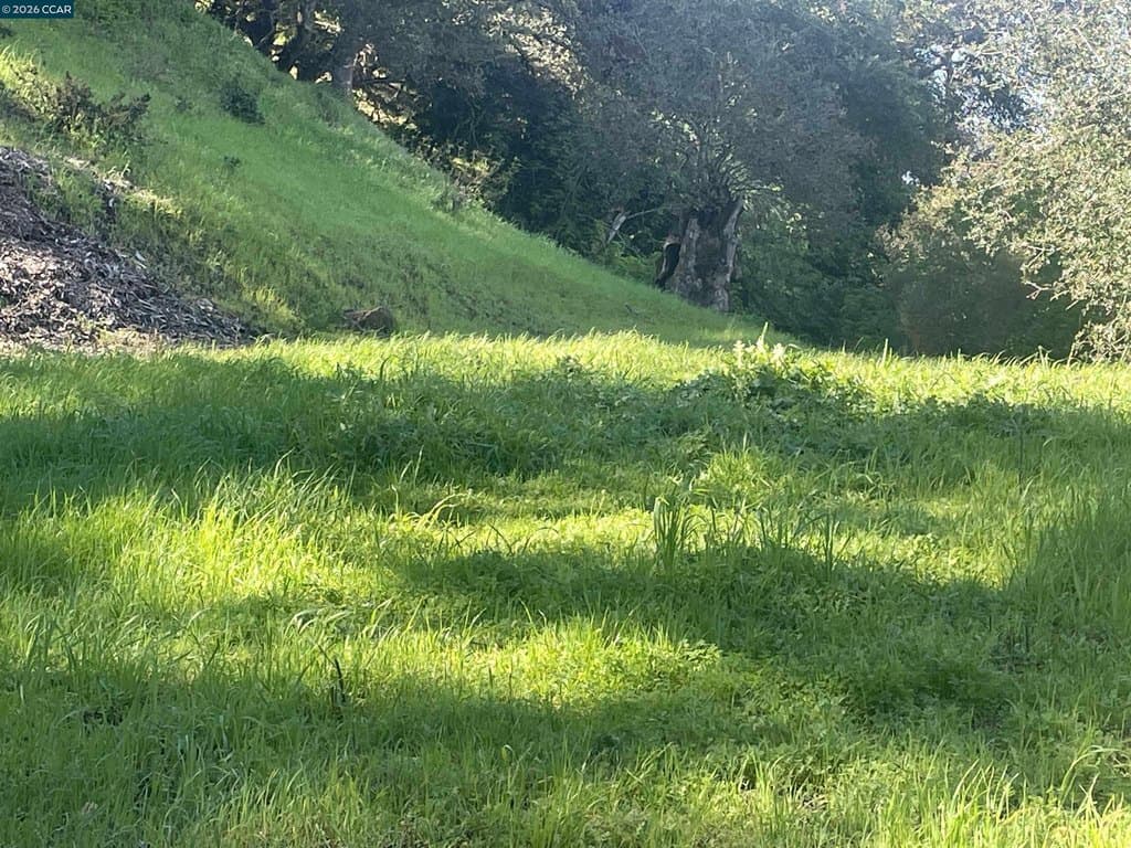 2965 Rohrer Dr, Lafayette