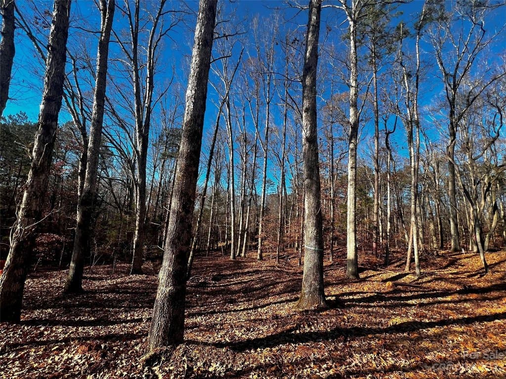 150 Copper Pine Ln Unit 4, Davidson