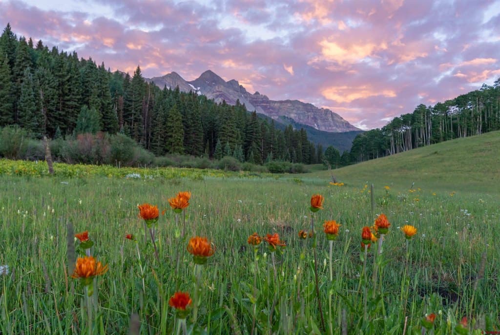 Sunshine Mesa Rd, Telluride