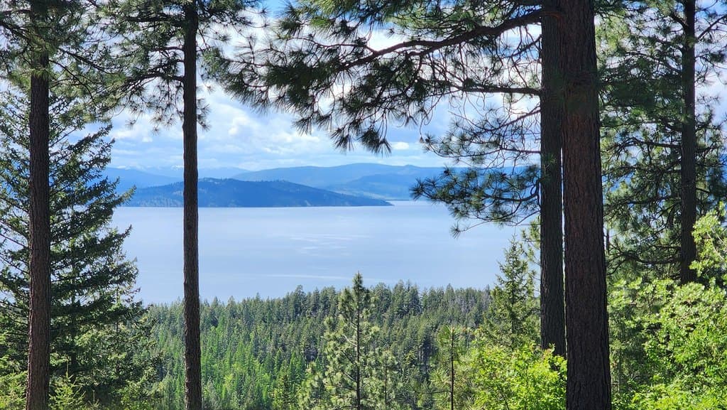 31683 Lake to Sky Dr, Bigfork