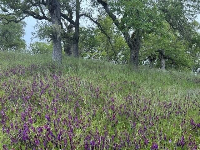 Lambert Flat Rd, Carmel Valley