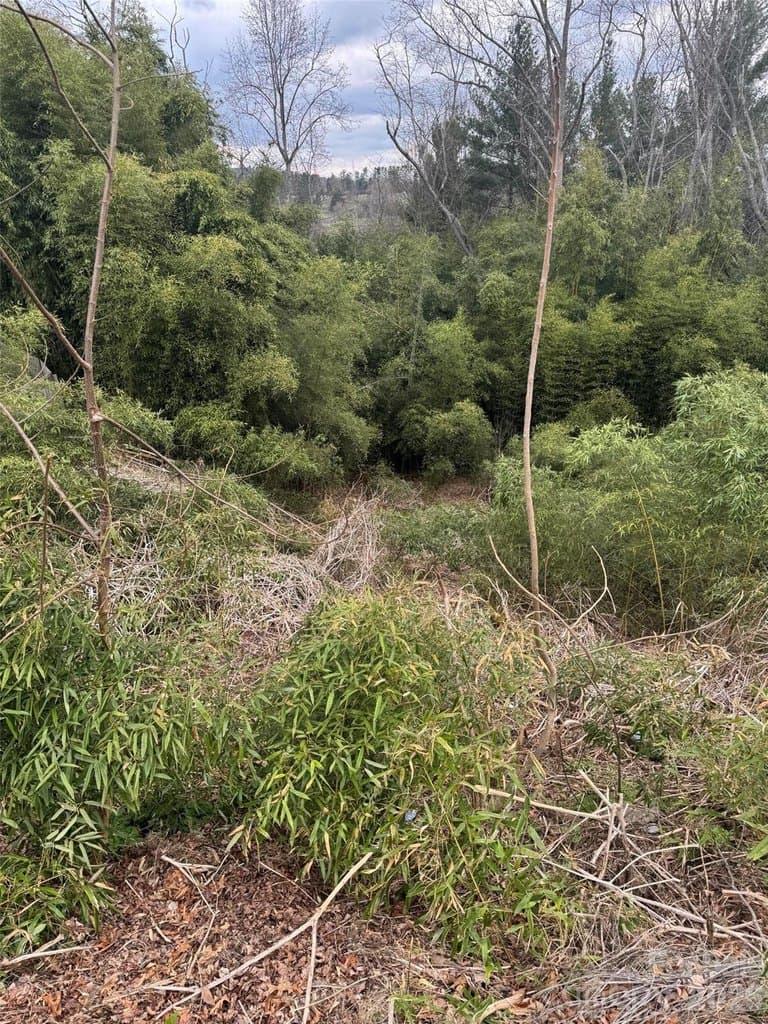 34 Belleair Rd, Asheville