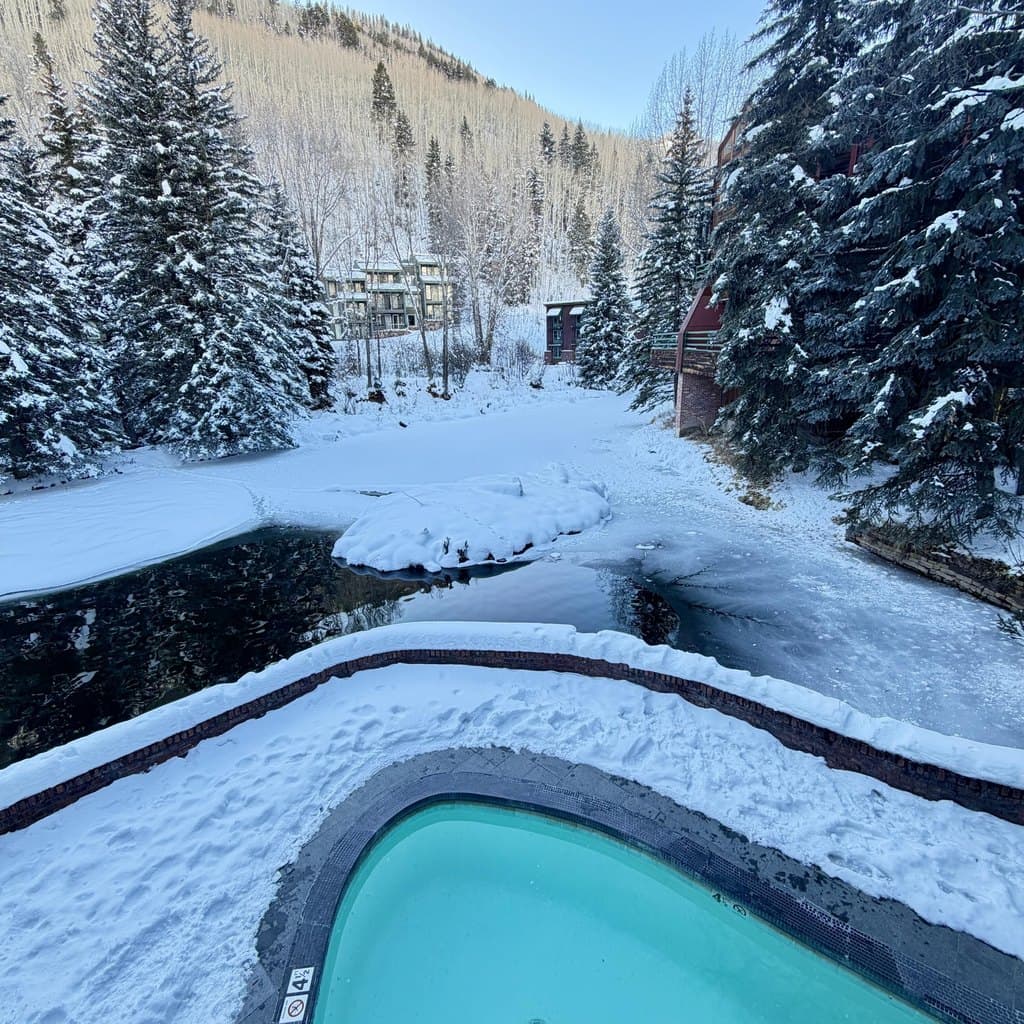 301 S Pine St Unit 205, Telluride