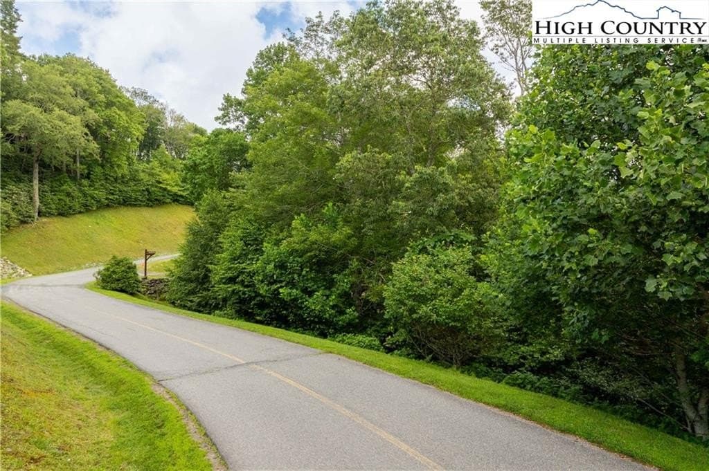 Tbd Thunderhill Trl Lot 217, Blowing Rock