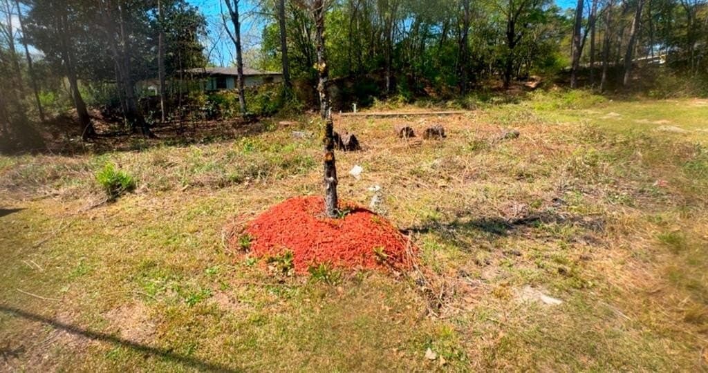 303 Seale Rd, Phenix City