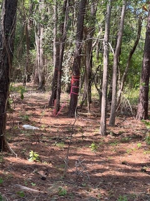 Lucys Ln, Mount Pleasant