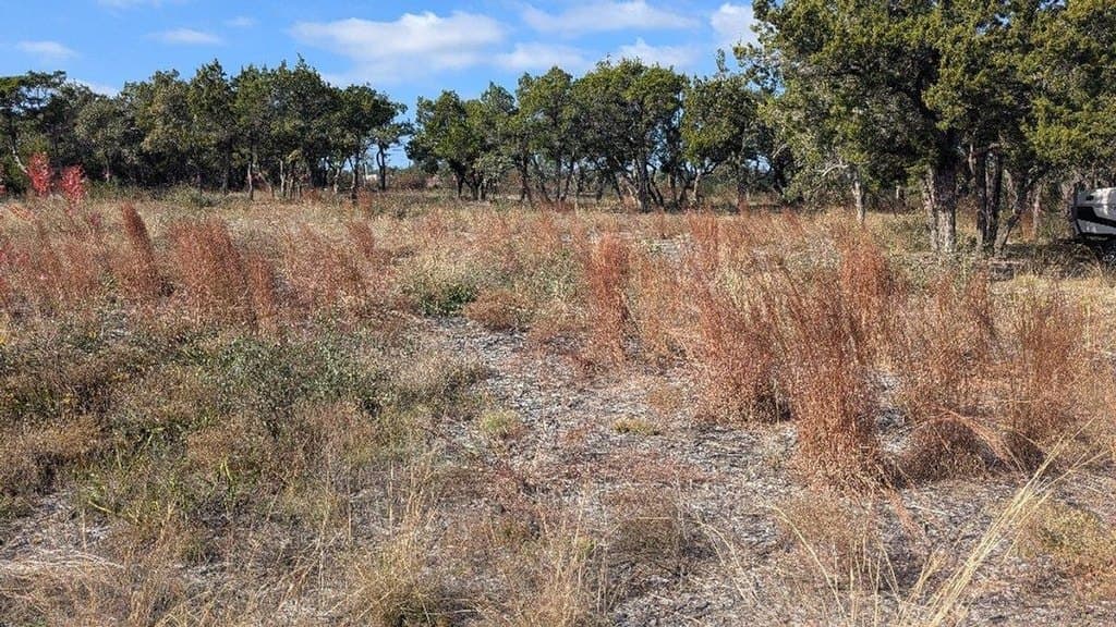 15765 Hamilton Pool Rd, Austin