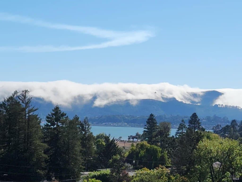 53 Mercury Ave, Tiburon