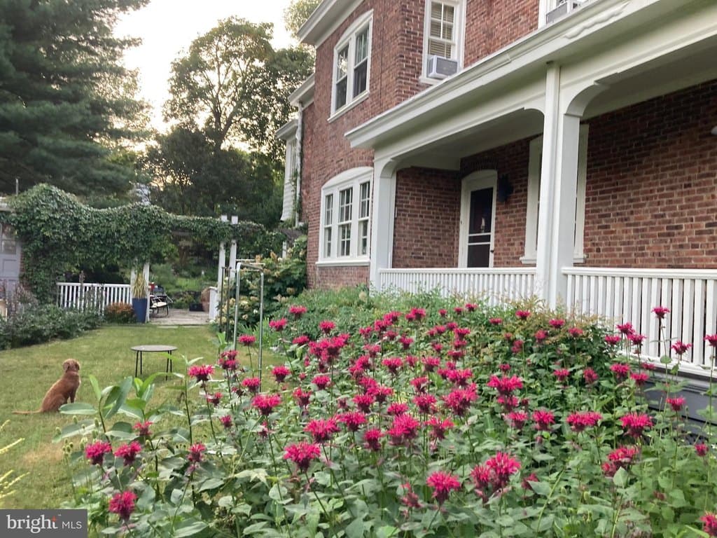 515 Carpenter Ln, Philadelphia