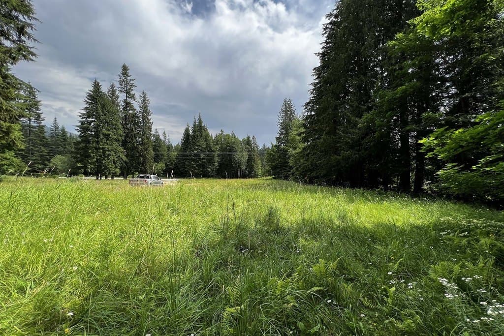 111 Wrenco Loop Rd, Sandpoint