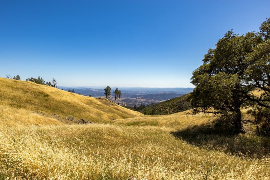 Pine Flat Rd, Healdsburg