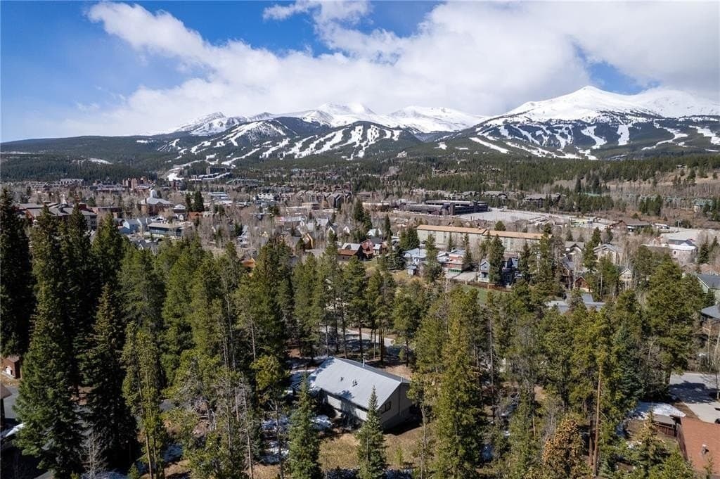 212 Briar Rose Ln, Breckenridge