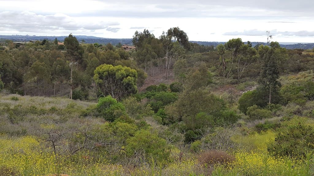 Lone Hill Ln, Encinitas