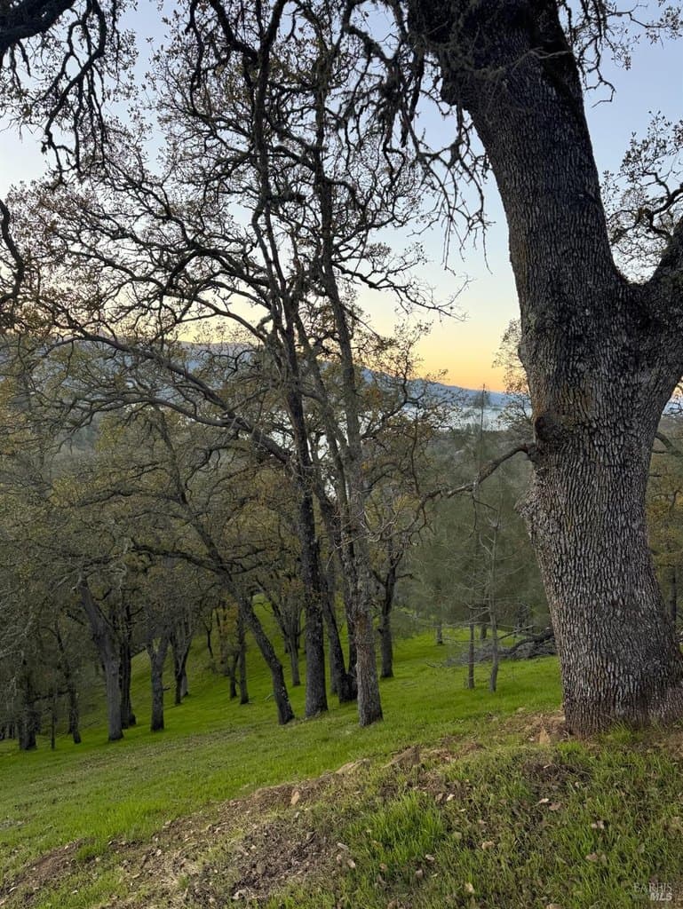 1135 Steele Canyon Rd, Napa