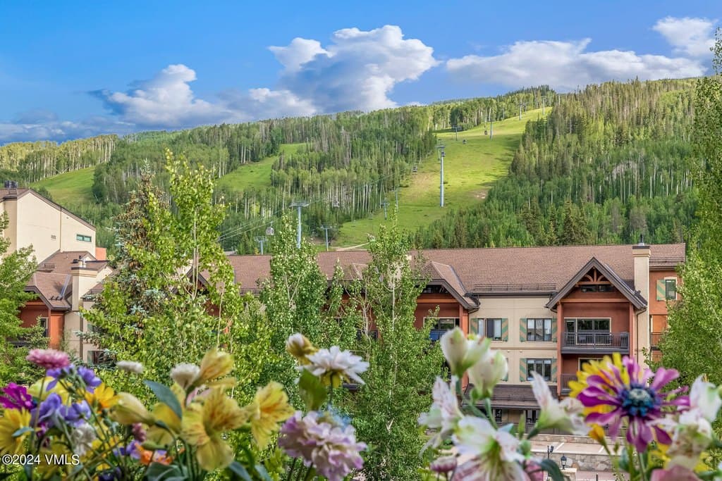 635 Lionshead Pl Unit 382, Vail