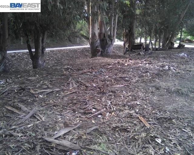 Morrison Canyon Rd, Fremont