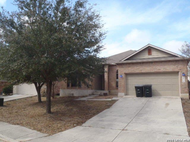 1938 Spotted Owl, New Braunfels