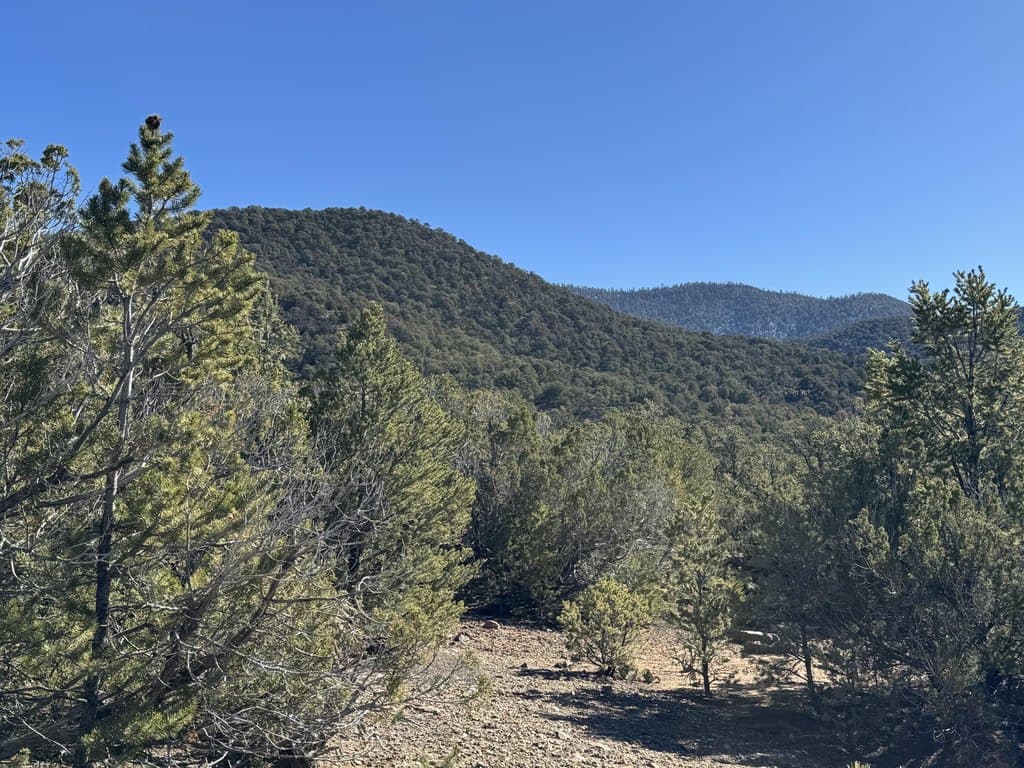 Tract 4 Verde Rd, Taos