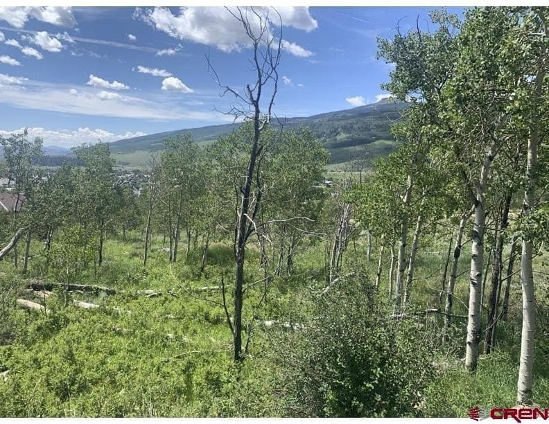 4217 Bryant Ave, Crested Butte