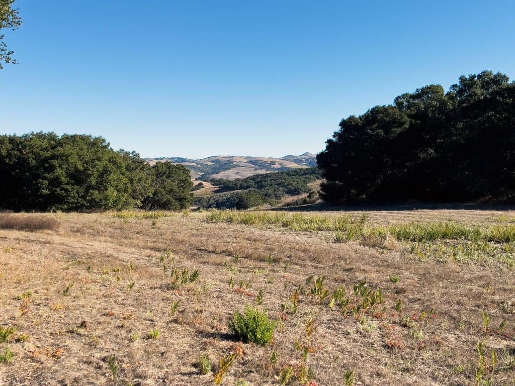 7 Holding Field Run, Carmel Valley