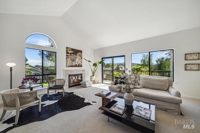 118 Eucalyptus Knoll St, Mill Valley