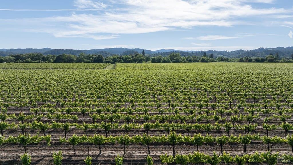 374 Kinley Dr, Healdsburg