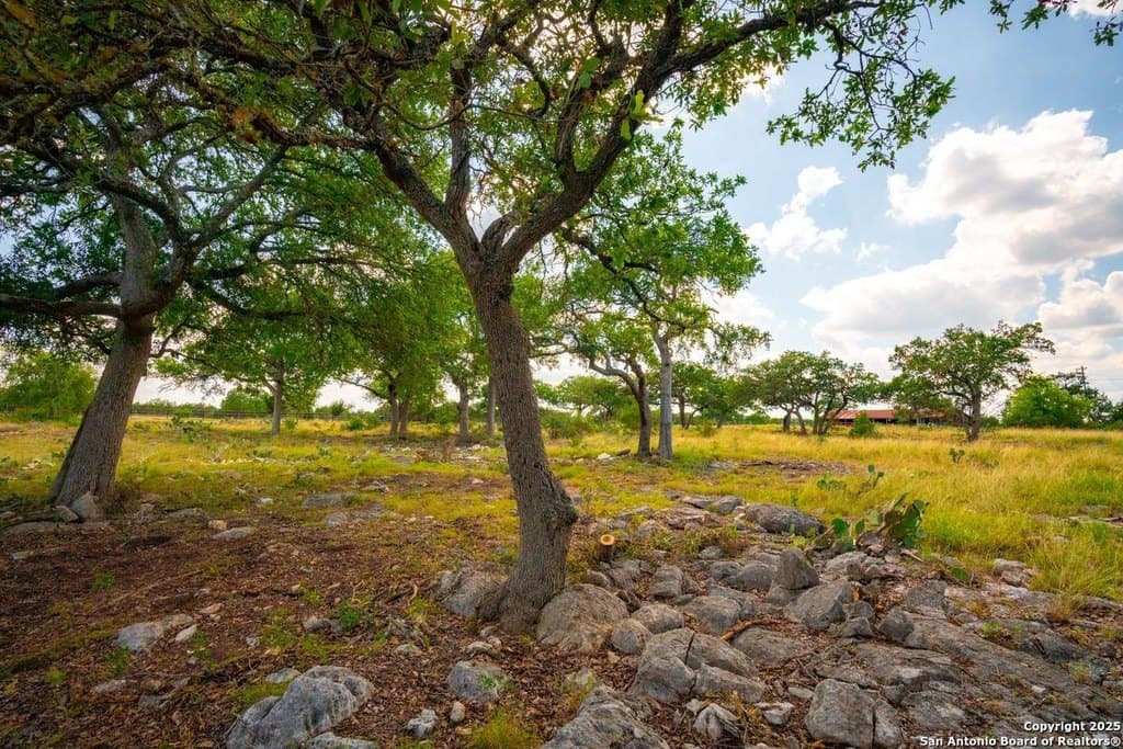 105 Bella Springs Rd, Boerne