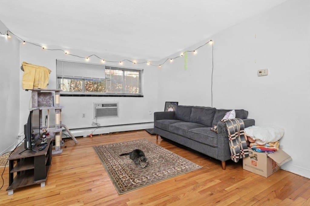 239 Kelton St Apt 11