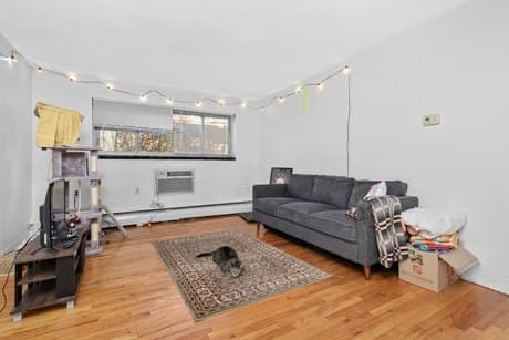 239 Kelton St Apt 11