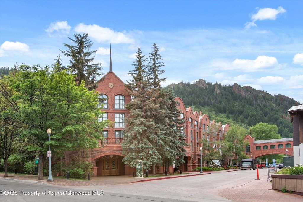 315 E Dean St Unit 21E7, Aspen